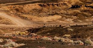 NBA战报：唐斯35分18板，尼克斯119-104轻取黄蜂